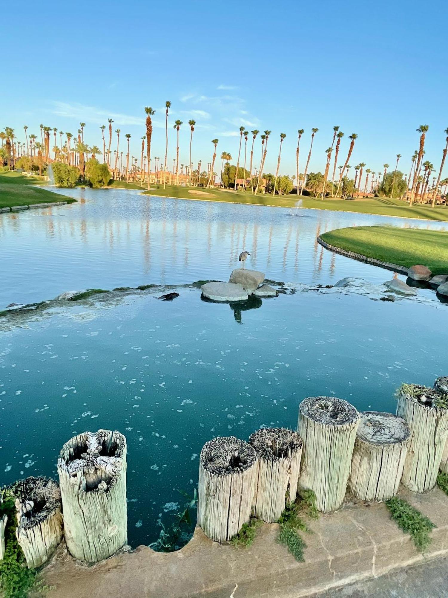 The View! Palm Desert Country Club Villa Eksteriør bilde