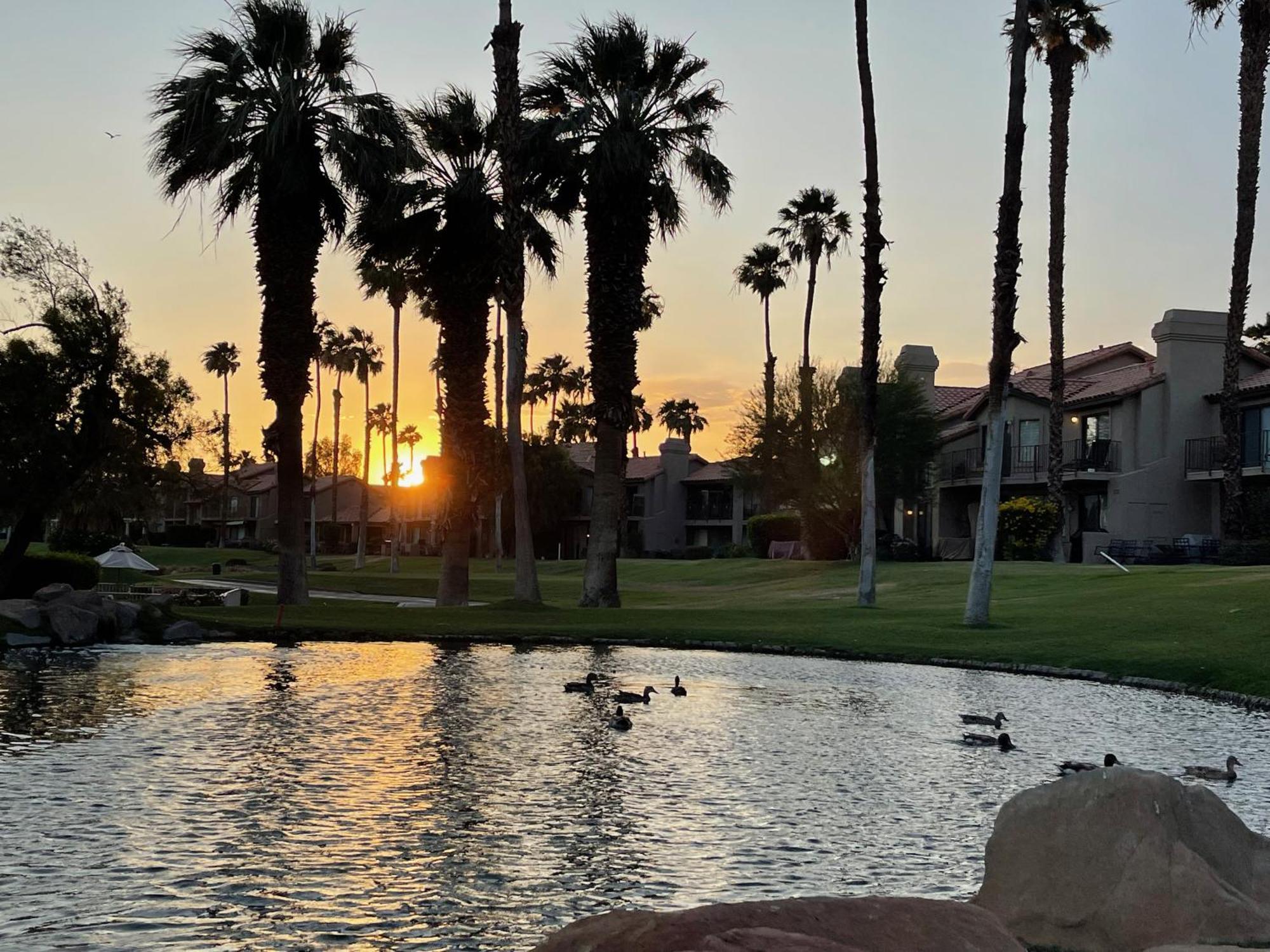 The View! Palm Desert Country Club Villa Eksteriør bilde