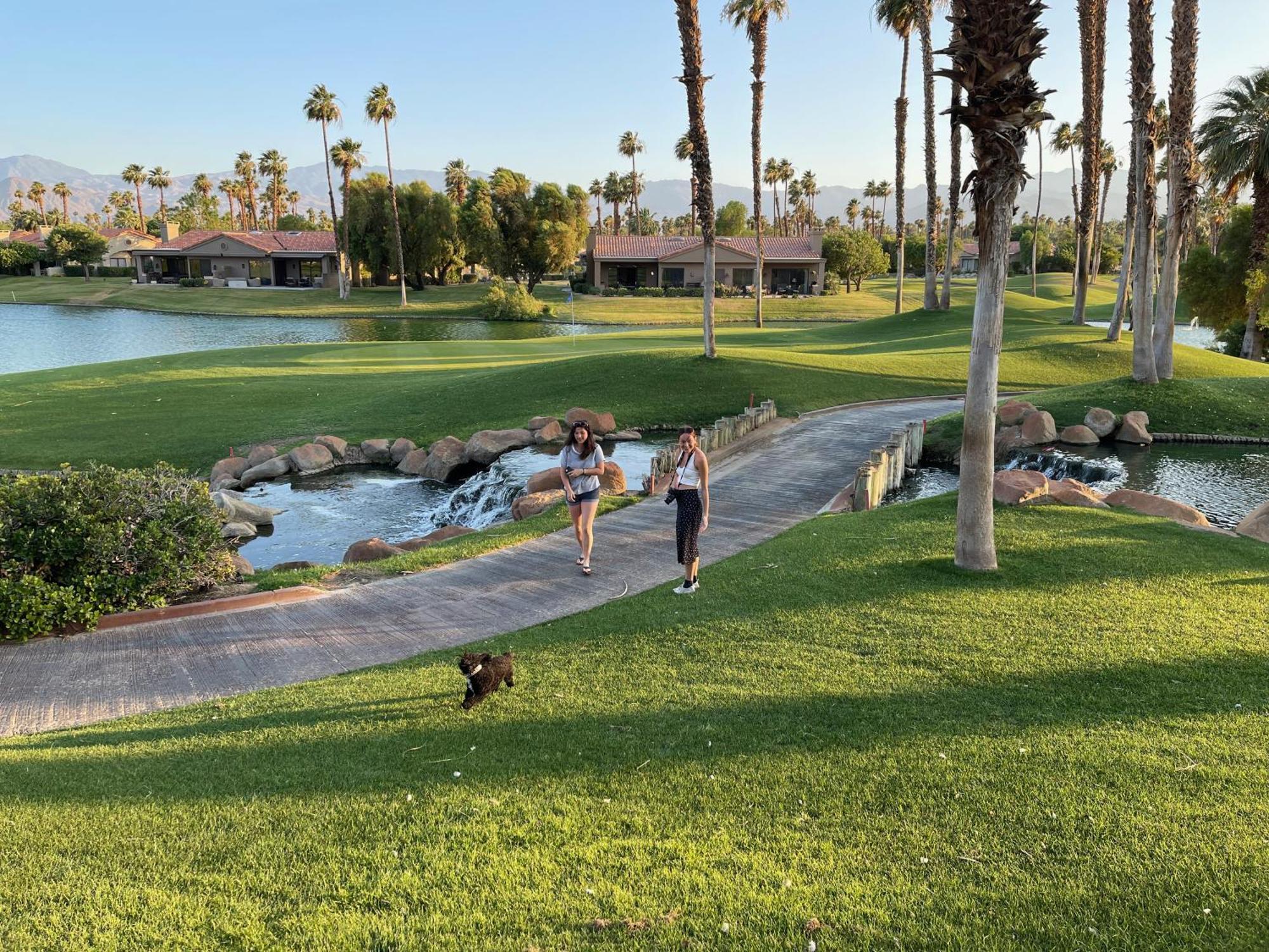 The View! Palm Desert Country Club Villa Eksteriør bilde